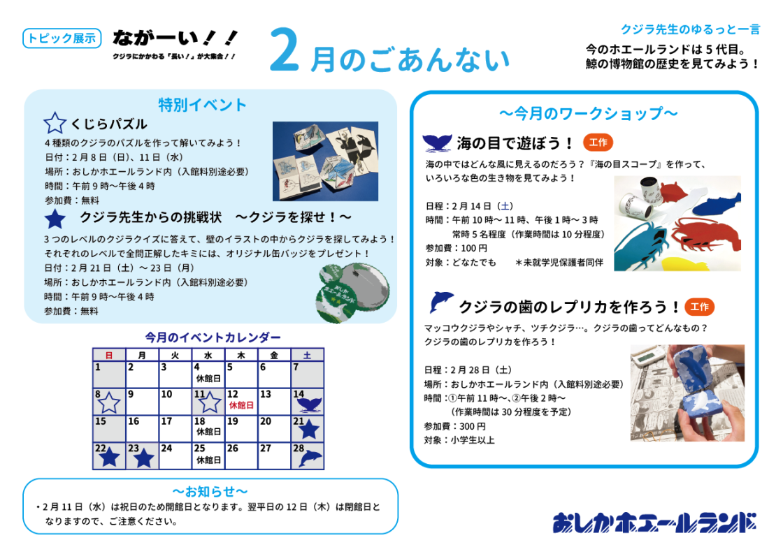 おしかホエールランド イベントガイド ホエールタウンおしか