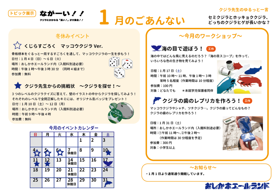 おしかホエールランド イベントガイド ホエールタウンおしか