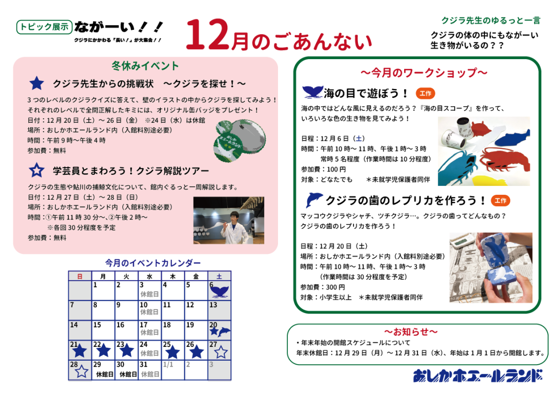 おしかホエールランド イベントガイド ホエールタウンおしか