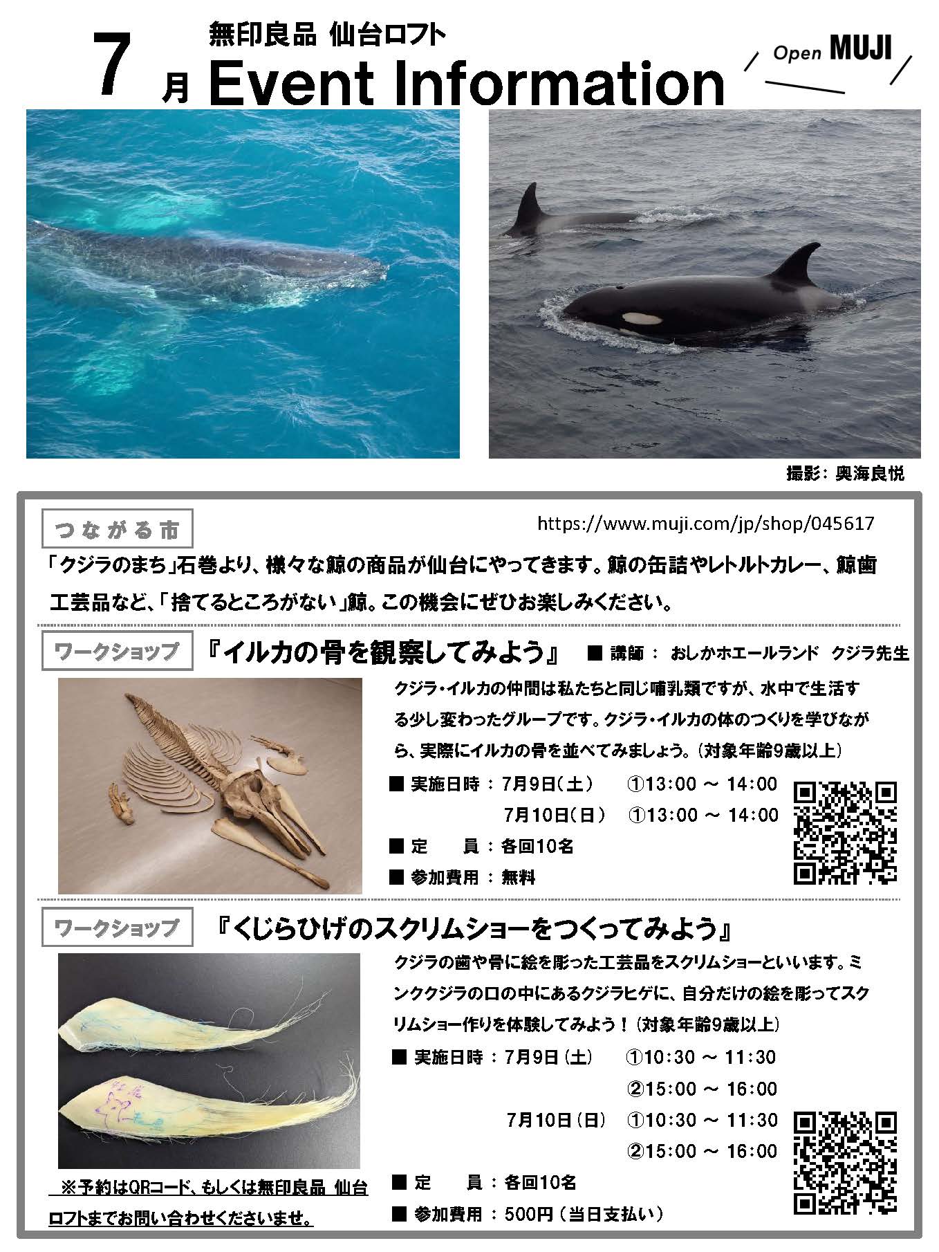 鯨歯 マッコウクジラ 抹香鯨-