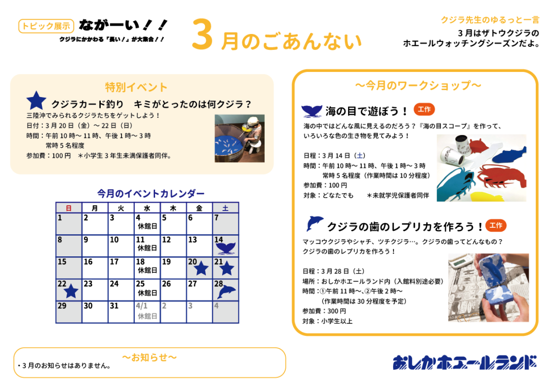 おしかホエールランド イベントガイド ホエールタウンおしか