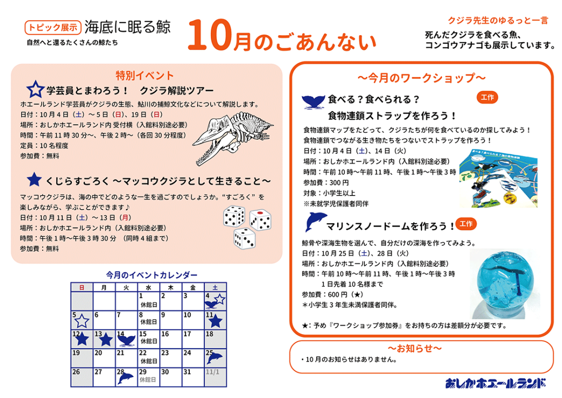 おしかホエールランド イベントガイド ホエールタウンおしか